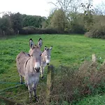 Prázdninový dům Maison De 3 A 400 M De La Kairon - Pair Sur *