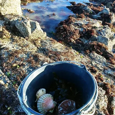 Hébergement de vacances Maison De 3 à 400 M De La Kairon - Pair Sur Saint-Pair-sur-Mer