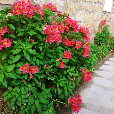 Prázdninový dům Maison De 3 A 400 M De La Kairon - Pair Sur