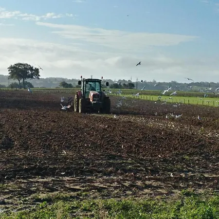 Maison De 3 A 400 M De La Kairon - Pair Sur