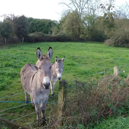 Prázdninový dům Maison De 3 A 400 M De La Kairon - Pair Sur *