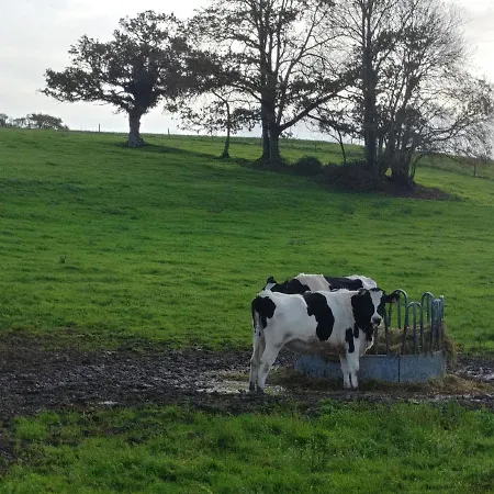 Dom wakacyjny Maison De 3 A 400 M De La Kairon - Pair Sur *