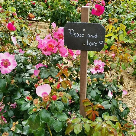 Maison De 3 A 400 M De La Kairon - Pair Sur * Saint-Pair-sur-Mer