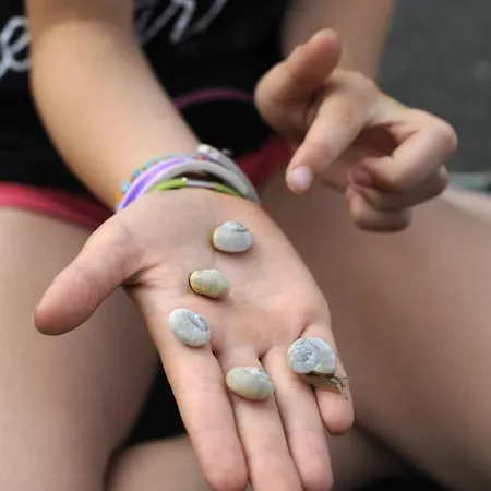 Prázdninový dům Maison De 3 A 400 M De La Kairon - Pair Sur Saint-Pair-sur-Mer