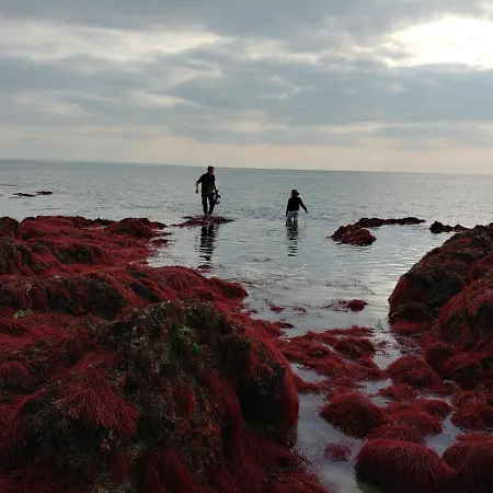 Maison De 3 A 400 M De La Kairon - Pair Sur Prázdninový dům