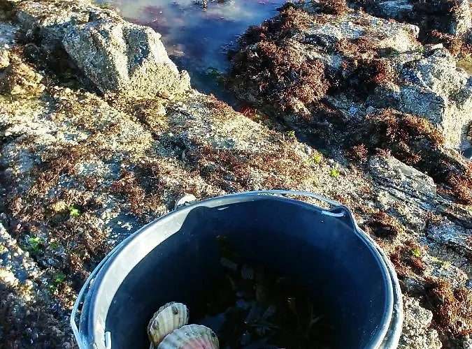 بيت للعطل Maison De 3 A 400 M De La Kairon - Pair Sur سان-بير-سور-مير