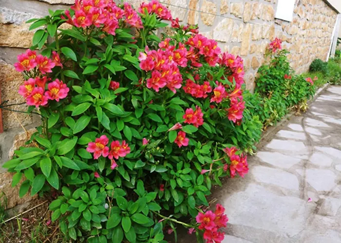 بيت للعطل Maison De 3 A 400 M De La Kairon - Pair Sur