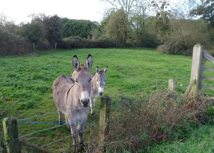 Σπίτι διακοπών Maison De 3 A 400 M De La Kairon - Pair Sur *