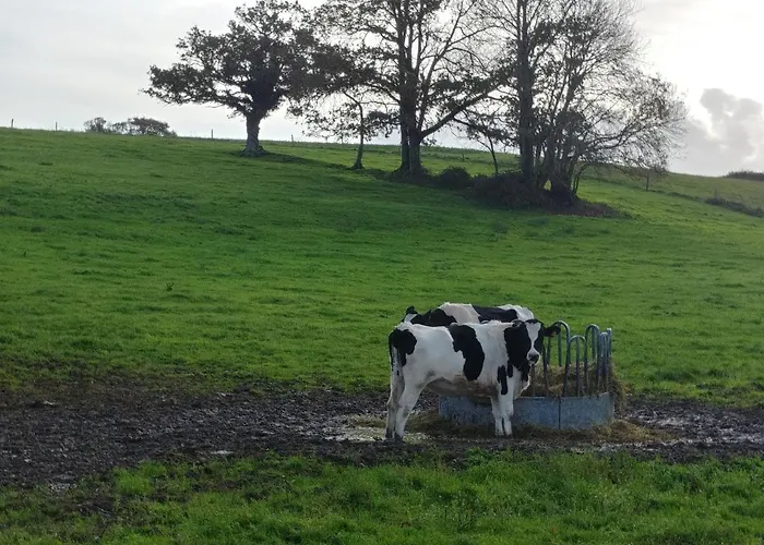 بيت للعطل Maison De 3 A 400 M De La Kairon - Pair Sur *