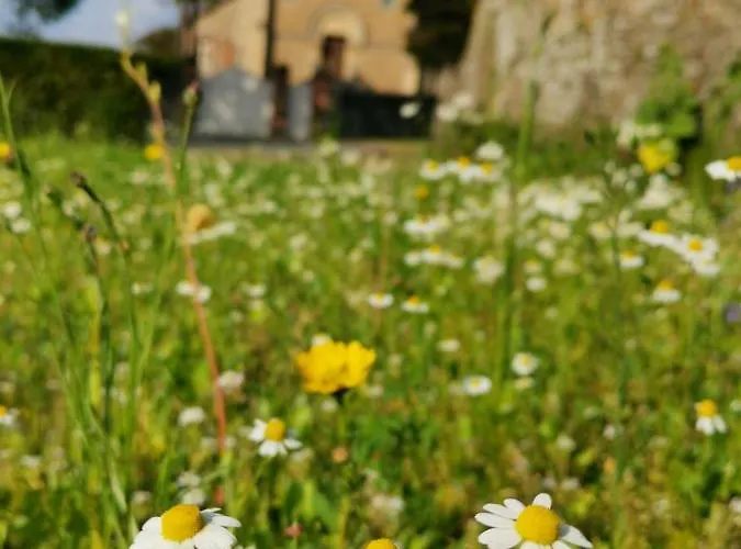 بيت للعطل Maison De 3 A 400 M De La Kairon - Pair Sur