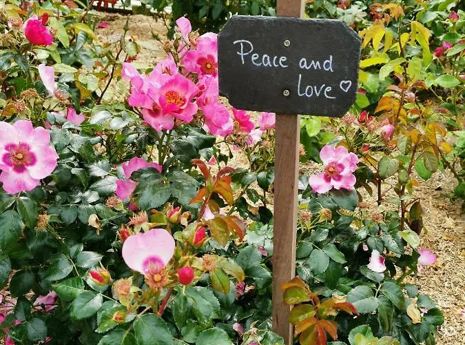 Maison De 3 A 400 M De La Kairon - Pair Sur * سان-بير-سور-مير