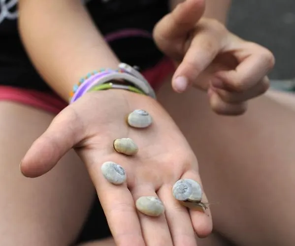 Σπίτι διακοπών Maison De 3 A 400 M De La Kairon - Pair Sur Saint-Pair-sur-Mer