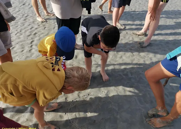 Maison De 3 A 400 M De La Kairon - Pair Sur سان-بير-سور-مير