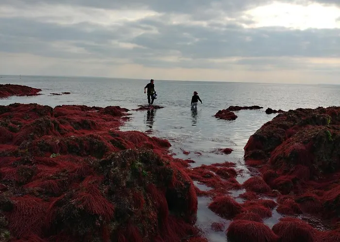 Maison De 3 A 400 M De La Kairon - Pair Sur Σπίτι διακοπών