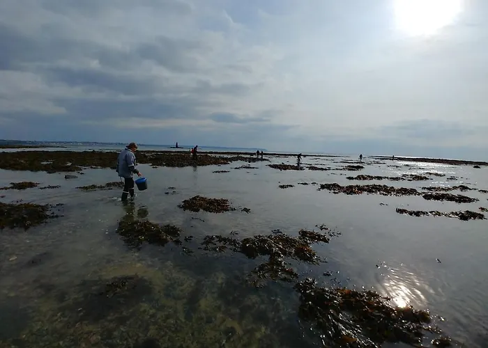 بيت للعطل Maison De 3 A 400 M De La Kairon - Pair Sur سان-بير-سور-مير